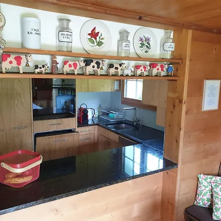 Aerneli- Appartement-fewo- Dusche Oder Bad- Wc 6-bettwohnung By Interhome شقة غشتاد
